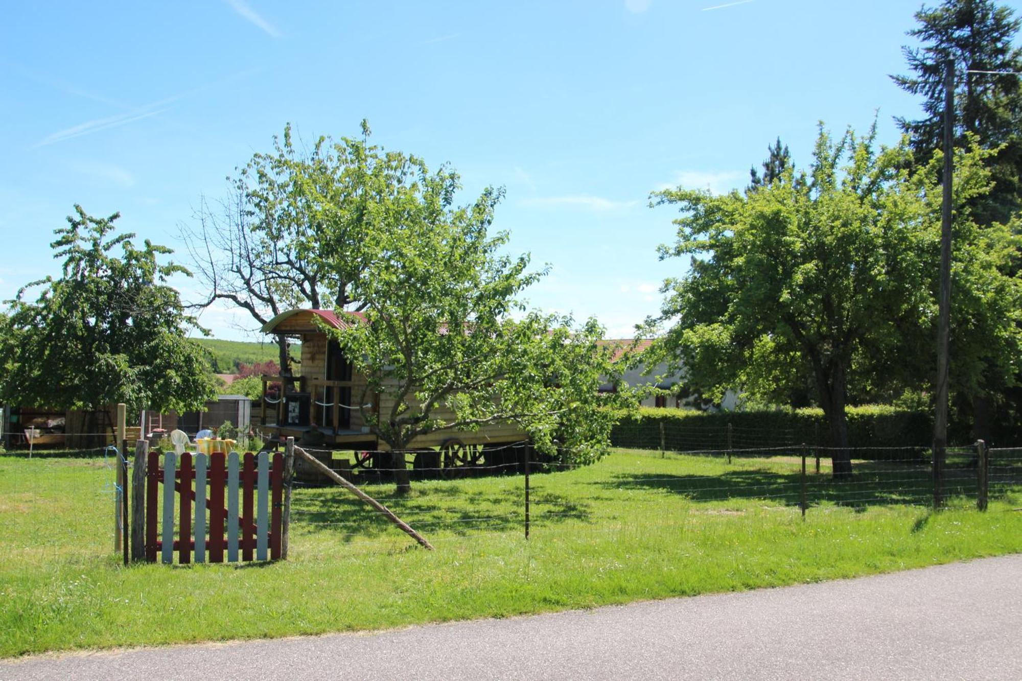 La Roulotte Des Amish & Bain Nordique A Remous Jacuzzi Guest House Mattexey Exterior photo